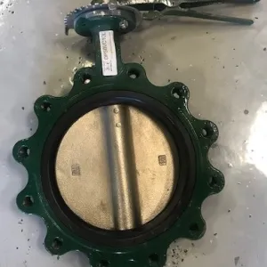 DPSBVC10L